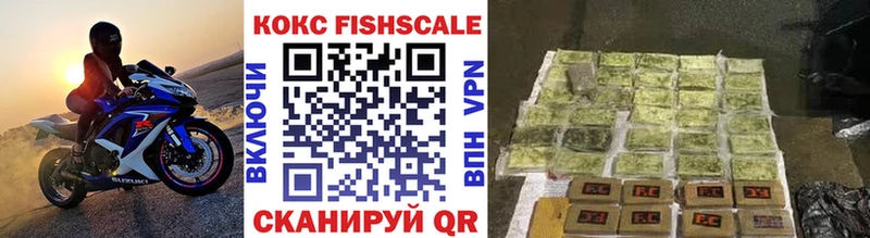 COCAIN FishScale  Плёс 