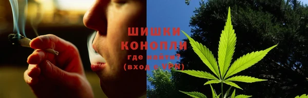 PSILOCYBIN Баксан