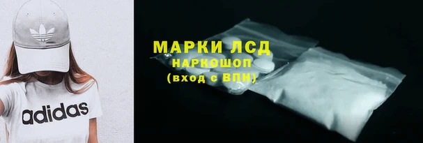 PSILOCYBIN Баксан