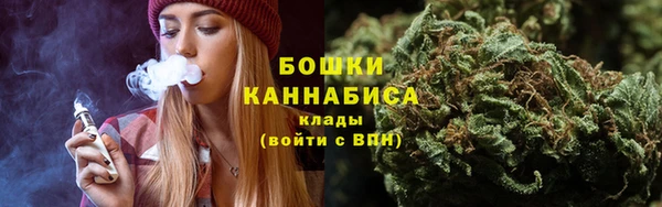PSILOCYBIN Баксан